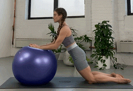 Exercise ball rehab