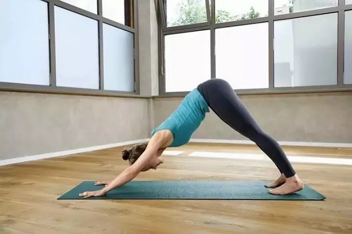 yoga Downward dog pose